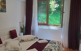Garsoniera Flori - Sinaia